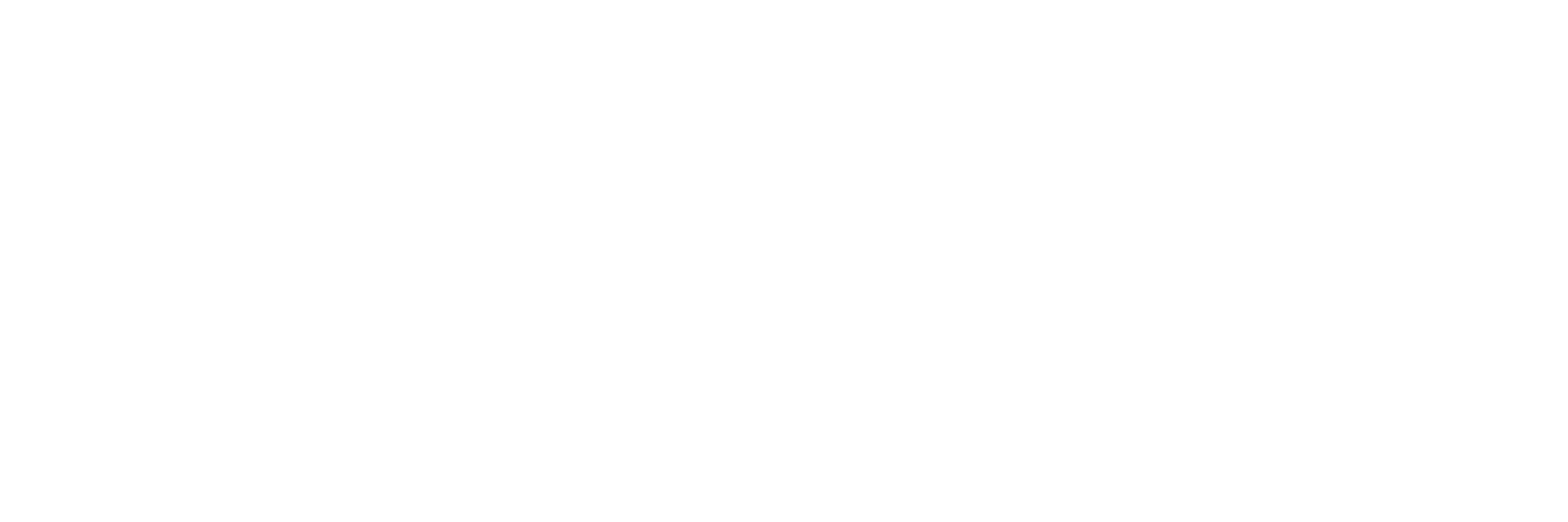PRIME 17 SHOW MMA